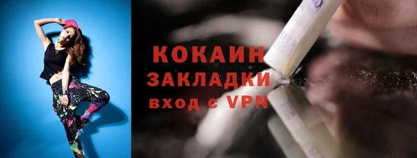 МДПВ Каменногорск