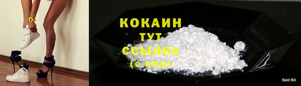 МДПВ Каменногорск