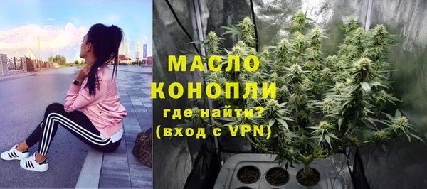 МДПВ Каменногорск