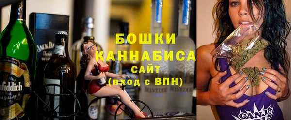 МДПВ Каменногорск