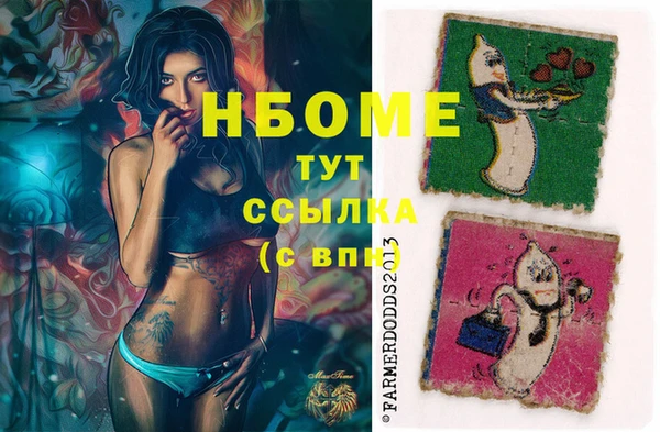 МДПВ Каменногорск